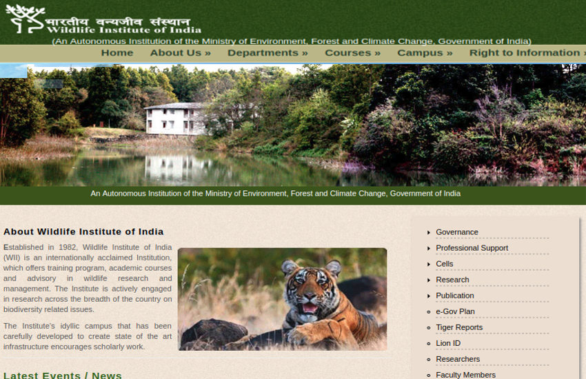 Career in wild life: वाइल्ड लाइफ में बेहतरीन करियर बनाने के लिए स्नातक के बाद
करें ये कोर्स