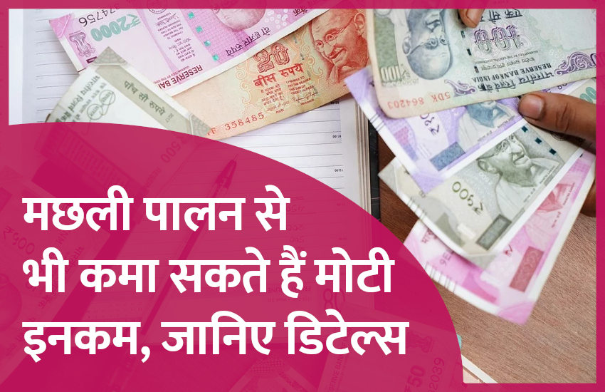 मछली पालन से भी कमा सकते हैं मोटी इनकम, जानिए डिटेल्स