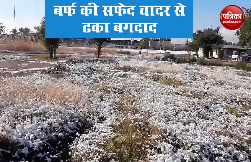 Video: बर्फ की सफेद चादर से ढकी इराक की राजधानी, लोगों ने ली सेल्फियां