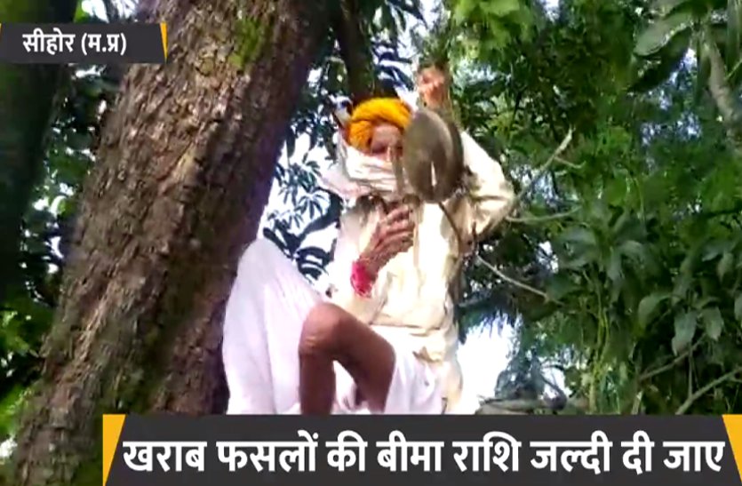 पेड़ पर बैठकर किसानों ने दो घंटे बजाई थाली, पीएम और सीएम के लिए कही यह बात,
देखें VIDEO