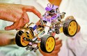 वैज्ञानिकों की अनूठी ‘कलाकारी’… टिड्डी के एंटीना से विकसित किया Sniffing Robot