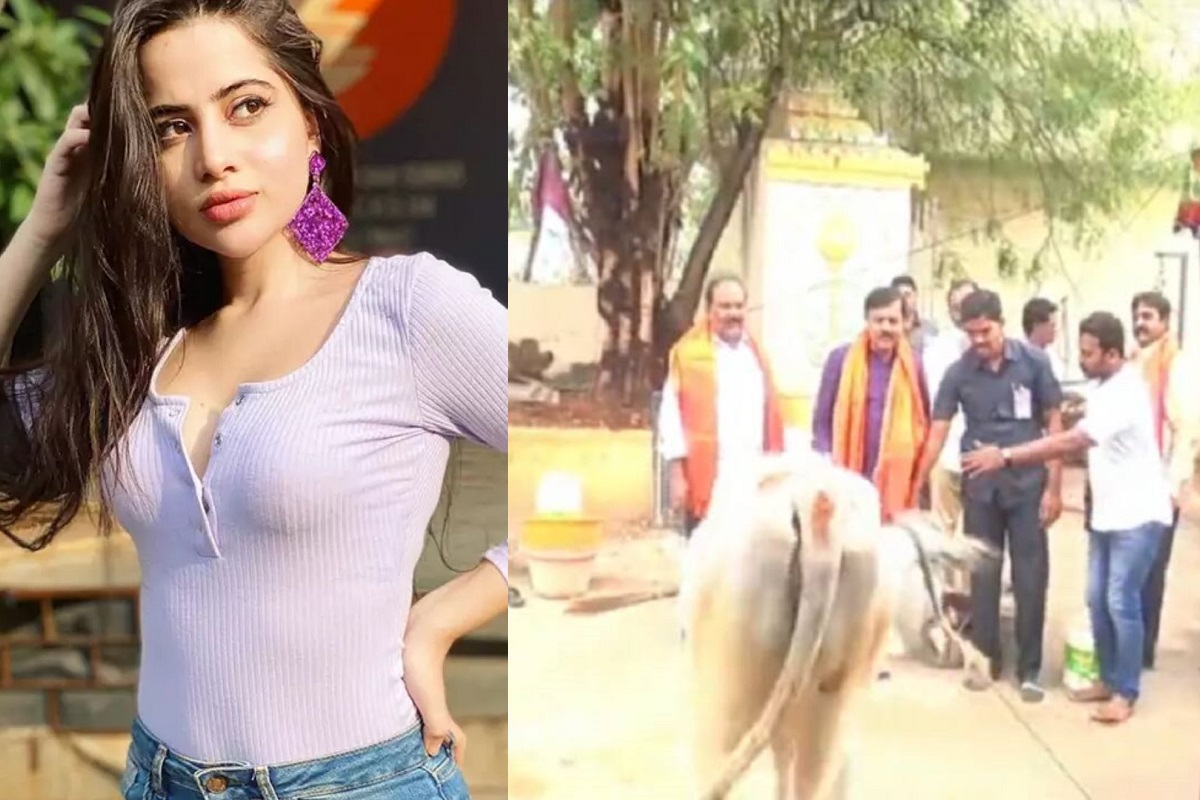 ‘वैलेंटाइन डे पर गाय को लगाएं गले’, केंद्र की इस सलाह के बाद उर्फी जावेद ने शेयर
किया बीजेपी नेता का फनी वीडियो