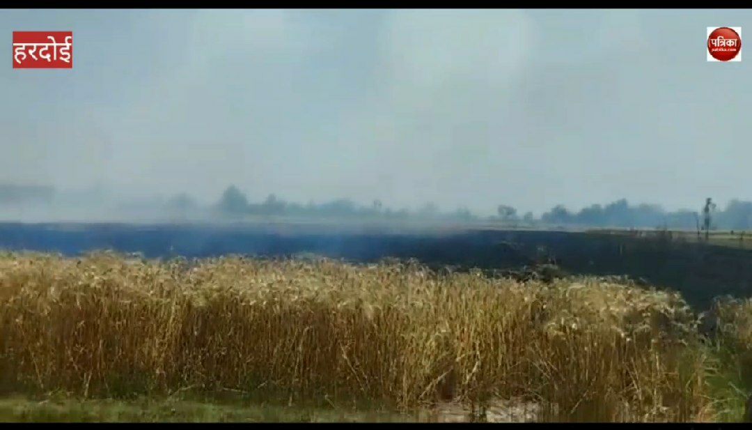 हरदोई न्यूज़ : Video: अतरौली गांव के खेतों में लगी आग, तबाह हुई फसल
