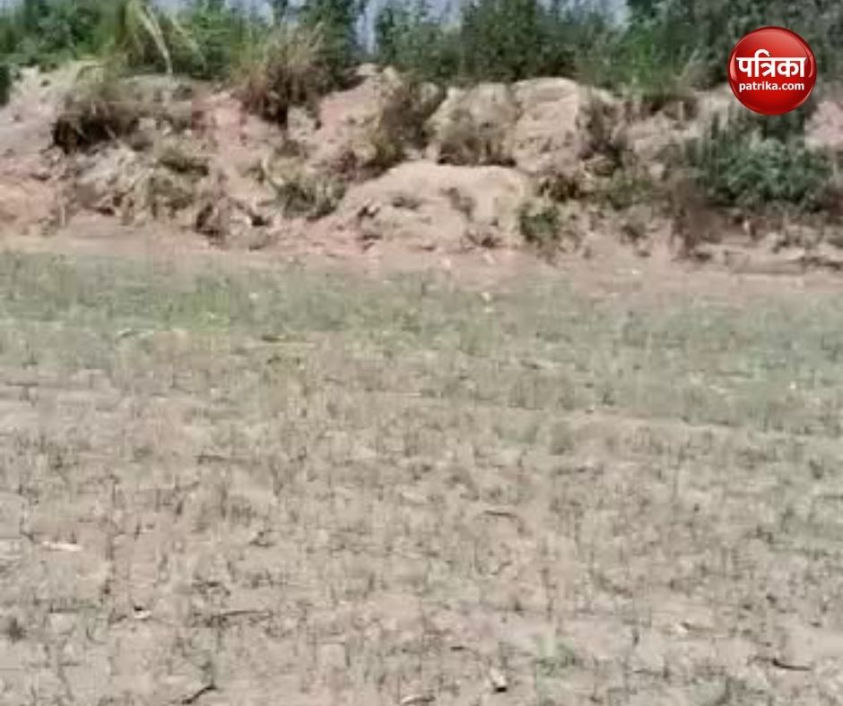Video: हापुड़ के गढ़मुक्तेश्वर के जंगल में निकला अजगर, देंखे वीडियो