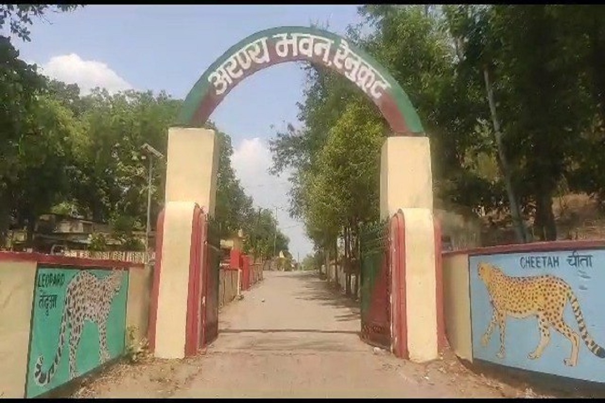 Sonbhadra video: तेंदुए की चहलकदमी से ग्रामीणों में दहशत, वन विभाग की कॉम्बिंग
जारी, देखे वीडियो