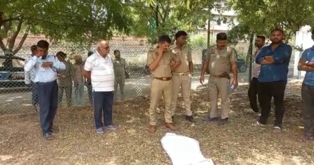 Video : झांसी में नवजात का आधा कटा मिला शव, मोहल्ले में सनसनी
