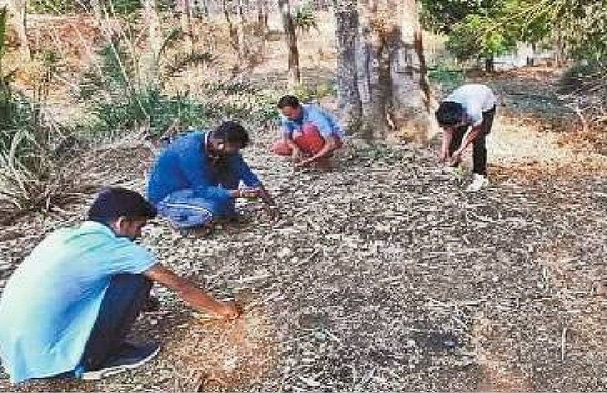 पर्यावरण संरक्षण : युवाओं की मेहनत रंग लाई, इस तरह जंगलों में आग लगनी हो गई बंद