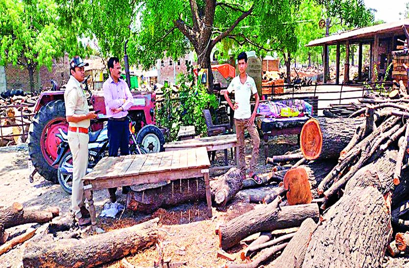 जिले के बेदारनगर-खामखेड़ा रोड पर हरे-भरे 39 पेड़ों की दी बलि, अधिकारियों ने जब्त
की 10 ट्रॉली लकडिय़ां, 2 लोगों पर केस दर्ज