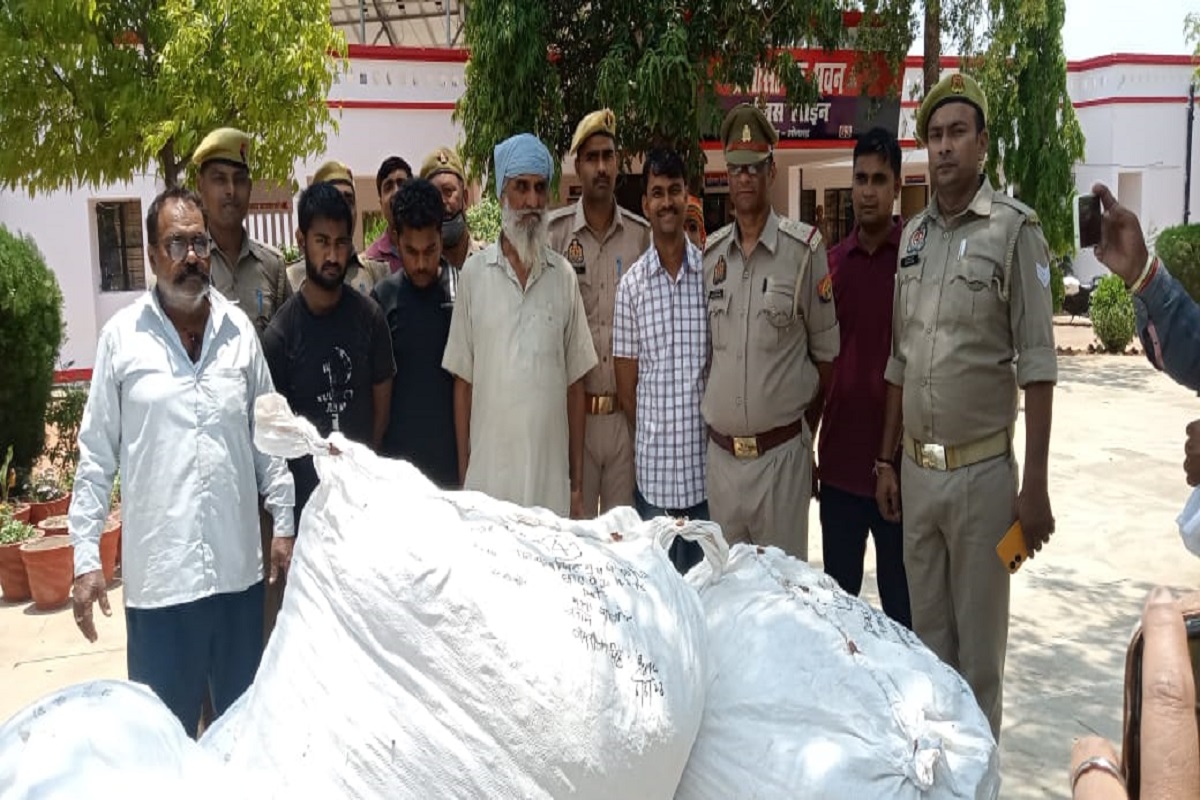 Sonbhadra video: गांजा तस्करी के एक दम यूनिक तरीके का एसपी ने किया खुलासा, दो
ट्रकों से बरामद हुआ 50 लाख का गांजा
