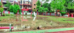 पार्क में मिट्टी नहीं डाले जाने से थोड़ी सी बारिश में ही बन जाता है तालाब - image