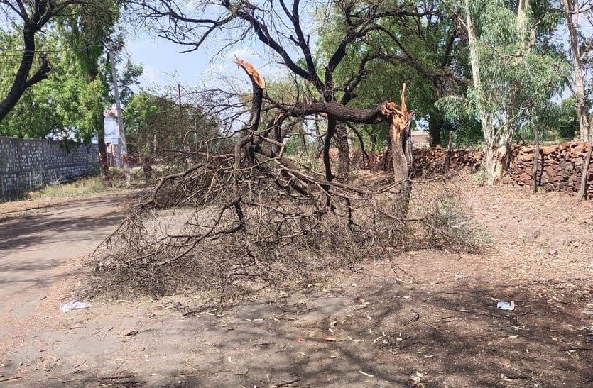 जिले में तेज अधंड का अलर्ट, 40 किमी रफ्तार से मेघ गर्जना के साथ होगी बारिश