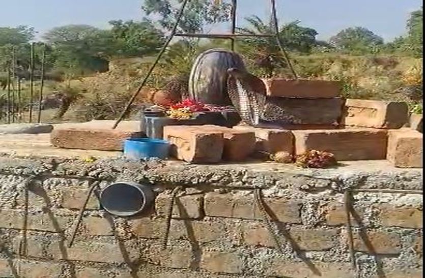 वीडियो… शिवलिंग से लिपटे दिखें नागराज…. दर्शन के लिए उमड़ी भीड़