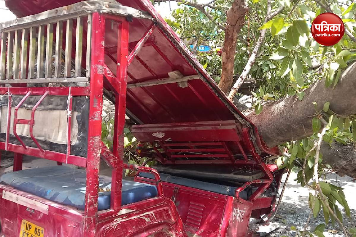 Video : Varanasi के गोलगड्डा चौराहे पर गिरा विशालकाय पेड़, ई-रिक्शा चालक घायल