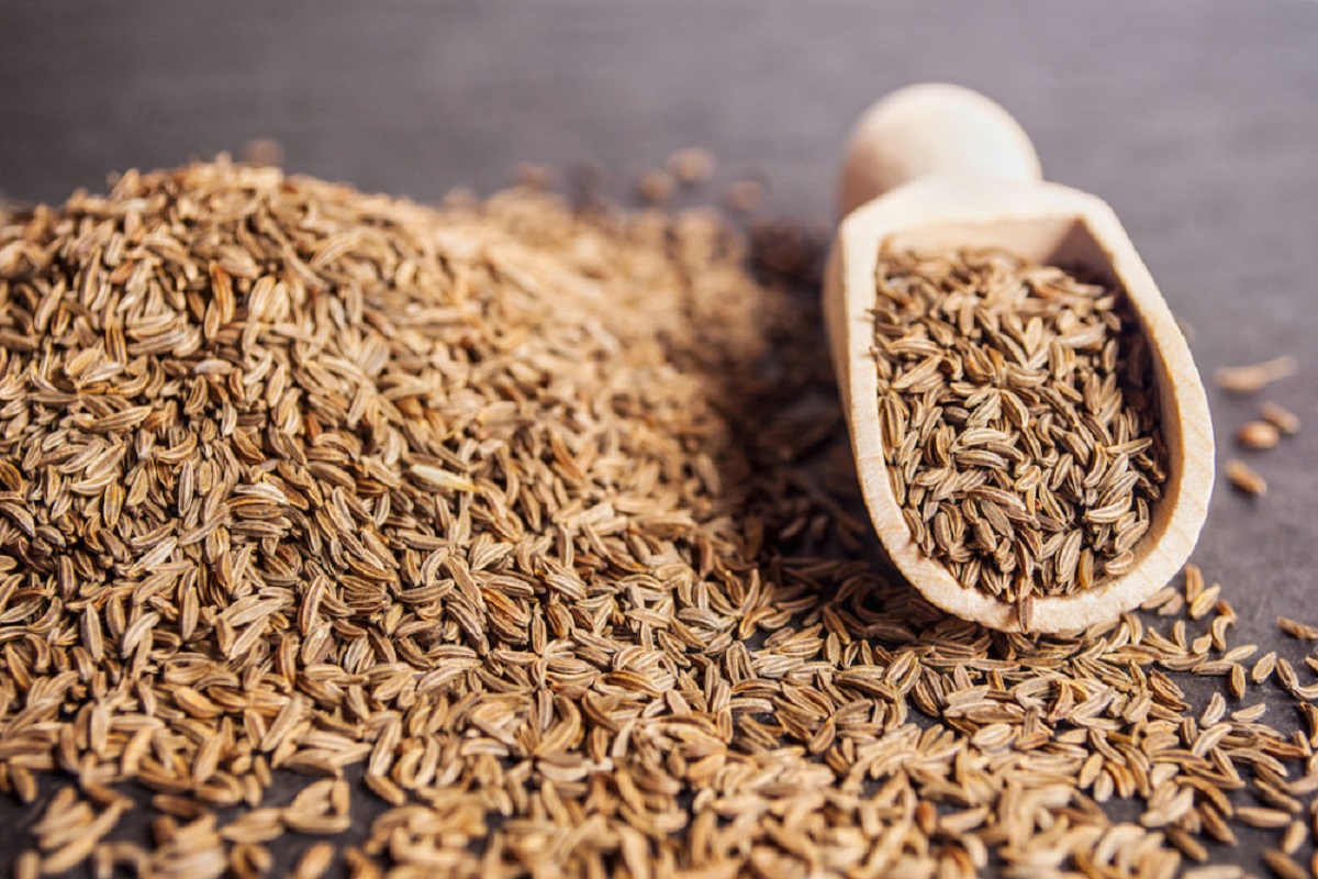 Cumin Price High: जीरे का तड़का फिर हुआ महंगा, 13 फीसदी घटी आवक…50,000 पार
पहुंचे दाम
