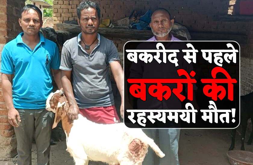 बकरीद से पहले घरों में बंधे बकरों का कौन पी रहा गला घोंटकर खून ?