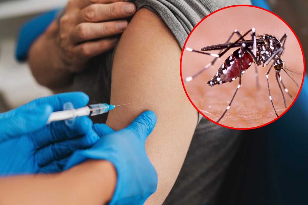 New vaccine of Chikungunya : चिकनगुनिया से होने वाली मौतों पर लगेगी लगाम , आ गया
चिकनगुनिया का नया टीका, 98% तक प्रभावी