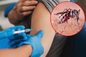 New vaccine of Chikungunya : चिकनगुनिया से होने वाली मौतों पर लगेगी लगाम , आ गया
चिकनगुनिया का नया टीका, 98% तक प्रभावी