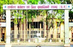 डीएमएपफ मद से मनमाने खरीदी के मामलों में अब तक जांच नहीं - image