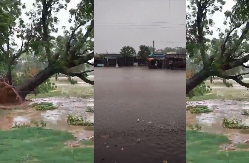 Weather Update: चक्रवाती तूफान बिपरजॉय का कहर शुरू, एक-एक कर गिरे पेड़, निचले
इलाकों में भरा पानी, मौसम विभाग ने दी चेतावनी