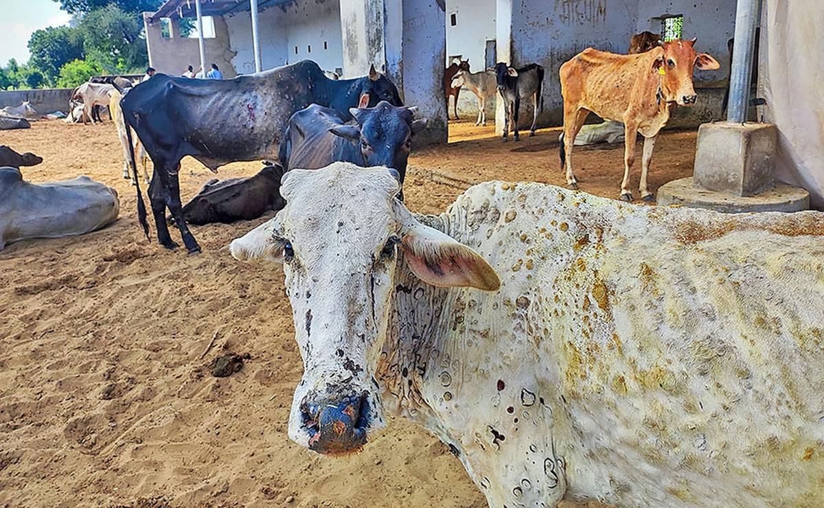राहगीरों के कंठ प्यासे, कागजों में चल रही प्याऊ