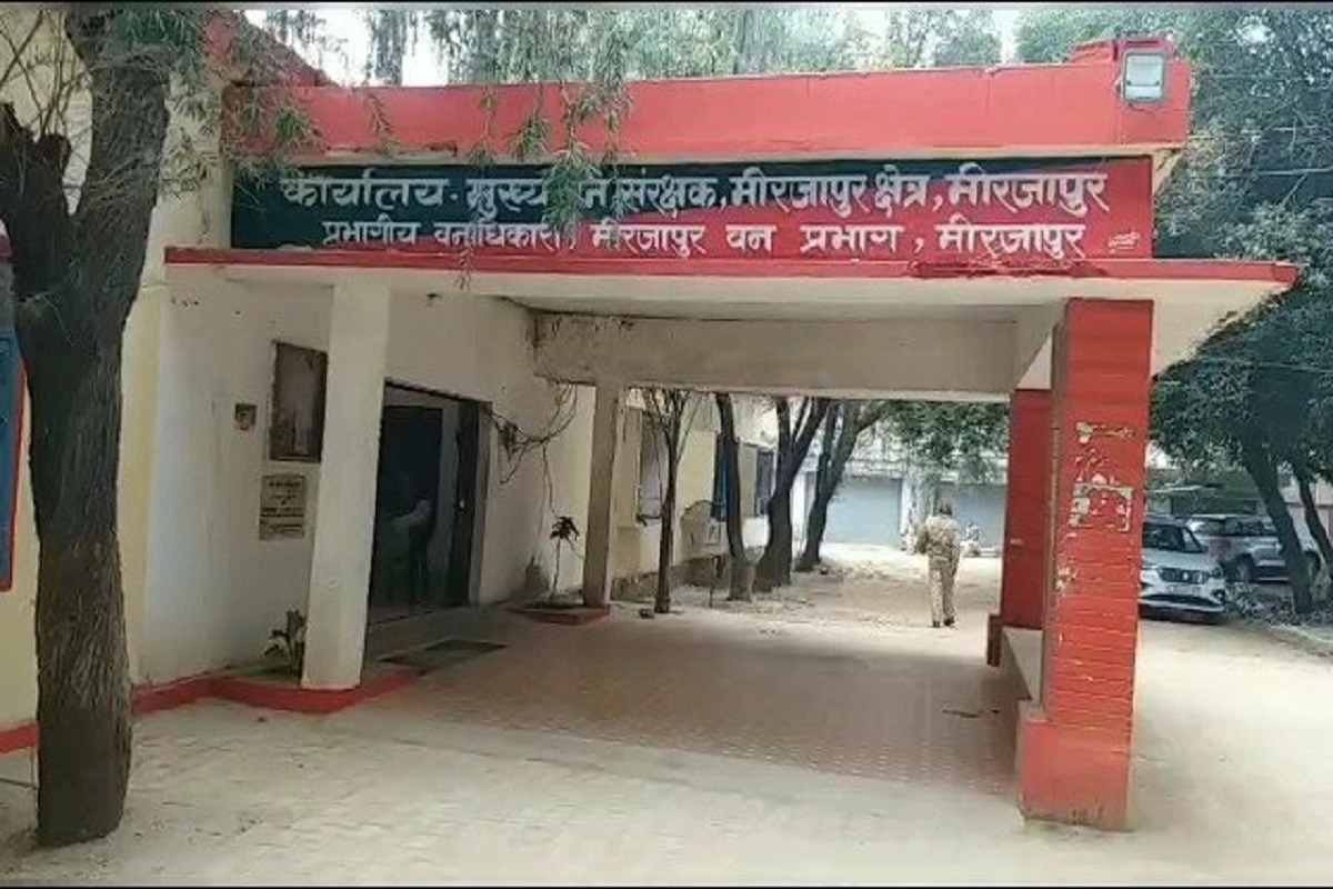 Mirzapur video: हाइवे के किनारे मिला राष्ट्रिय पक्षी मोर का शव, तीन शव मिलने से
फैली सनसनी