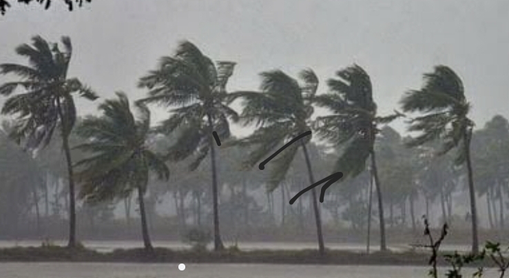 Up weather alert : यूपी में भीषण गर्मी और लू की 72 घंटे में विदाई,50 की रफ्तार
से चलेगी हवाएं, झमाझम बारिश, जाने अपने जिले का हाल