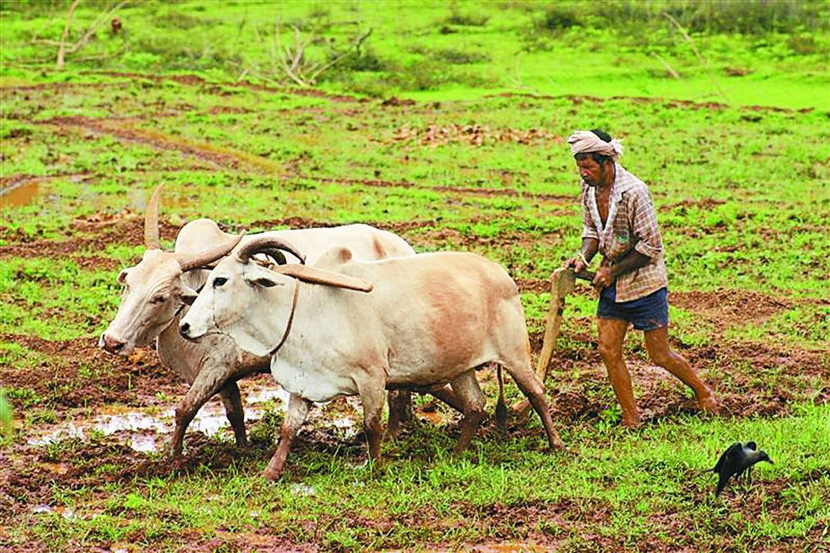 किसानों को राहत, ऋण चुकाने की तिथि बढ़ी, डिफाल्टर होने का खतरा भी टला, देखिए
क्या है नया आदेश