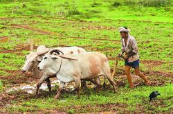 किसानों को राहत, ऋण चुकाने की तिथि बढ़ी, डिफाल्टर होने का खतरा भी टला, देखिए
क्या है नया आदेश - image