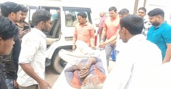 धौलपुर: शादी में दो दिन बाद लौटी पत्नी से हुआ विवाद, ससुराल पक्ष के लोगों ने घर
आकर जीजा को धुना - image